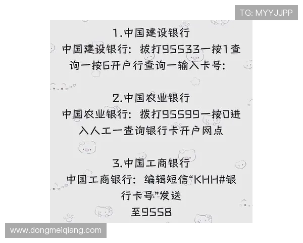 凯发开户技巧分享：开户过程中常见问题的解决方案与建议